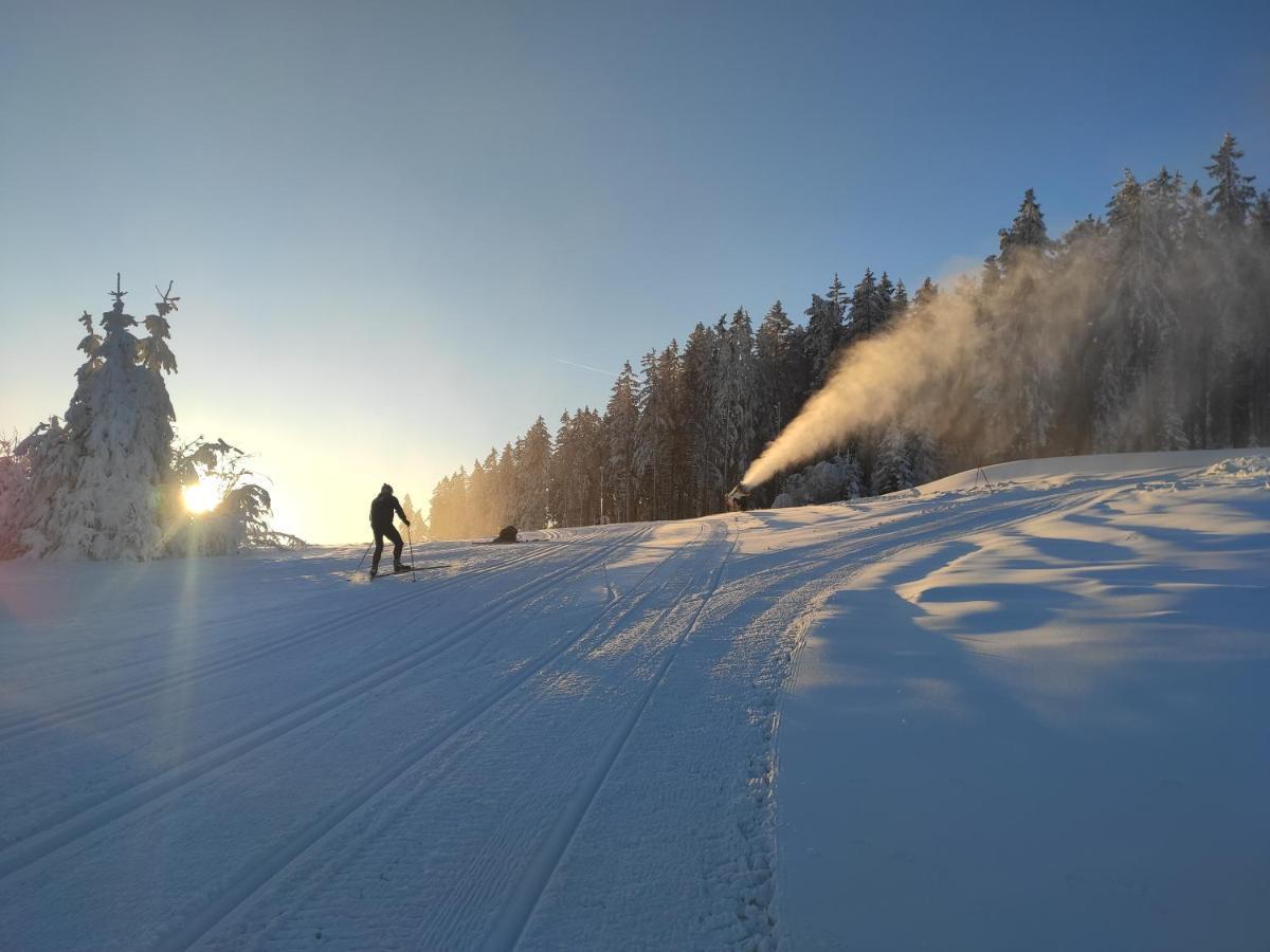 Lipno Riviera - Mysi V Bote Apartman Lipno nad Vltavou Kültér fotó